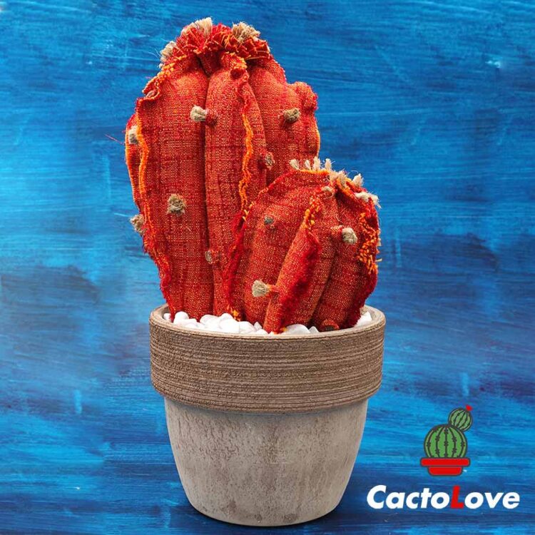 catus-doppio-stoffa-arancio-vaso-terra-taglia-M